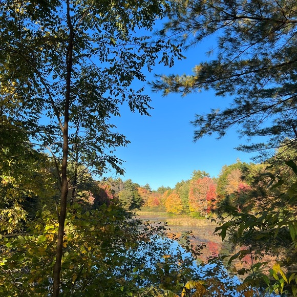 Meet your Posher, Amandolyn - Picture 3 of 6